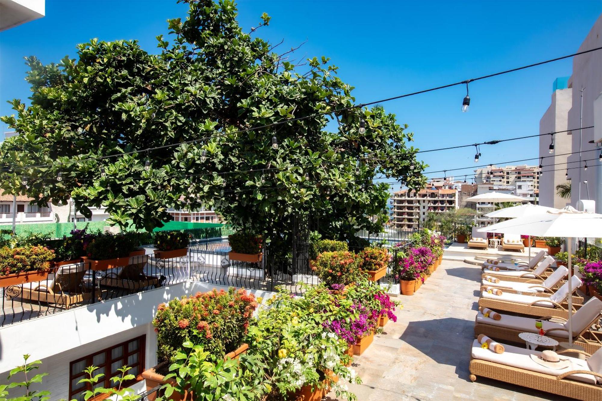 Casa Dona Susana (Adults Only) Πουέρτο Βαγιάρτα Εξωτερικό φωτογραφία